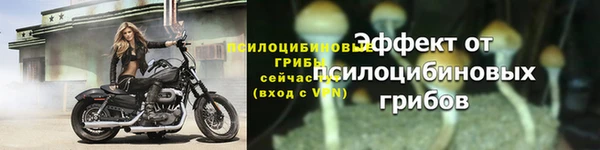 2c-b Арсеньев