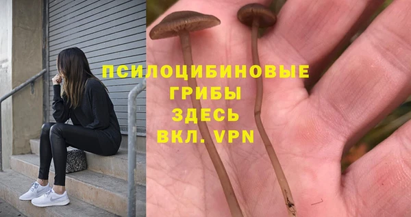 альфа пвп Армянск